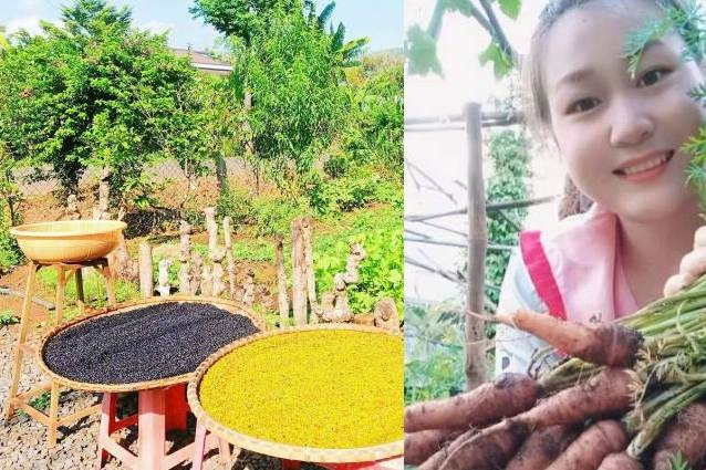 Bỏ phố về quê trồng rau, 9X tìm thấy bình yên giữa nắng gió Tây Nguyên