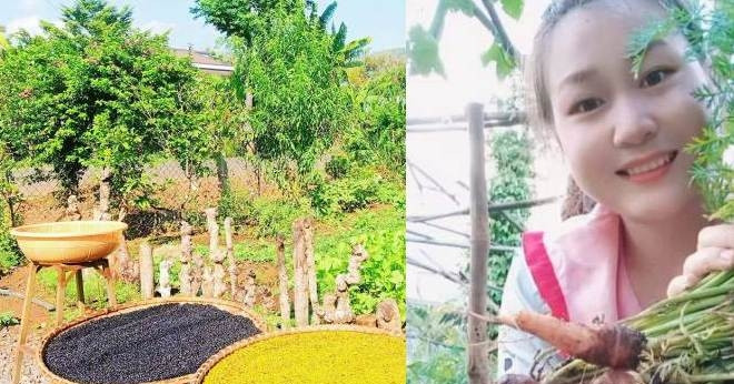 Bỏ phố về quê trồng rau, 9X tìm thấy bình yên giữa nắng gió Tây Nguyên