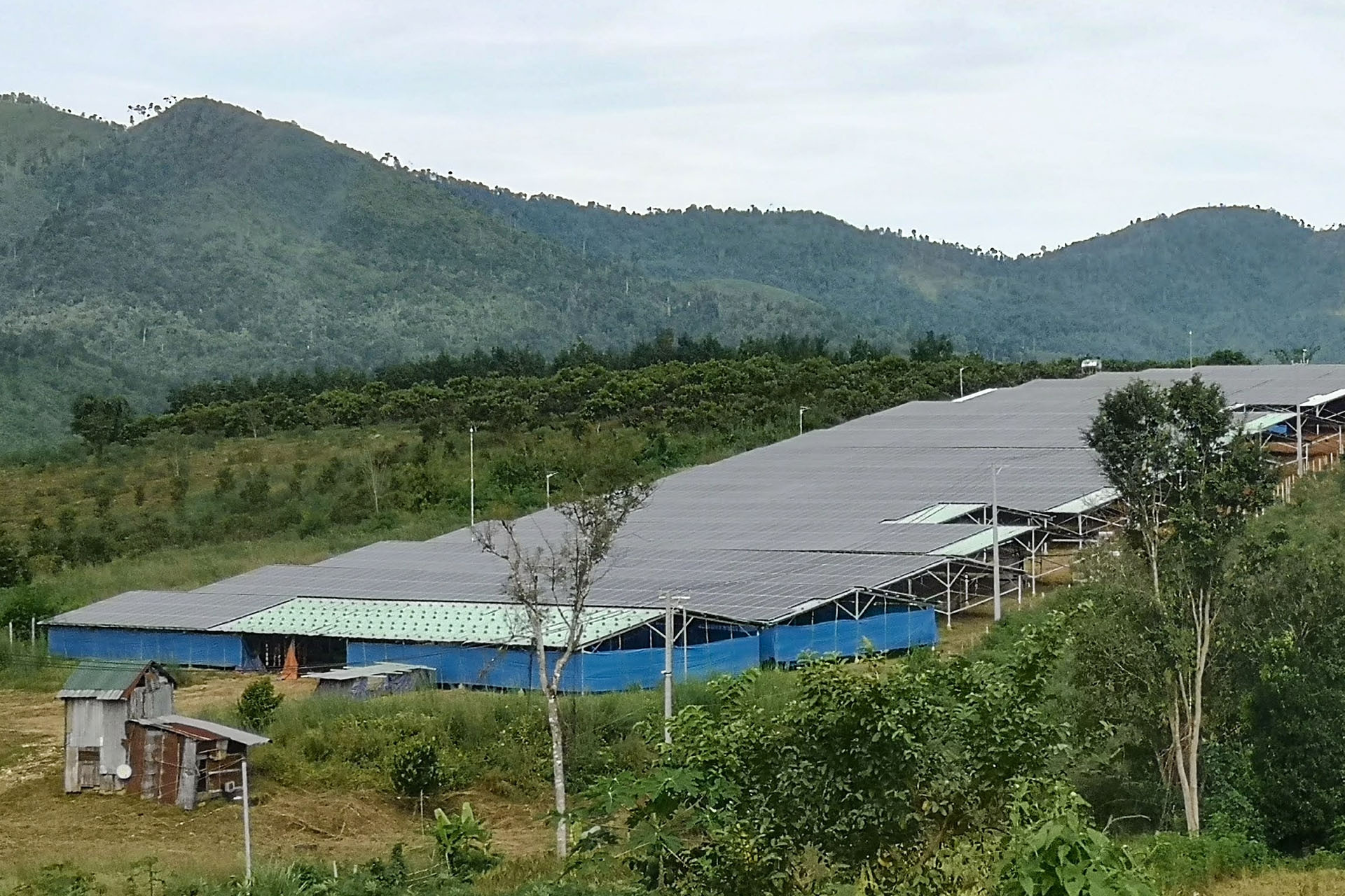 Cần có khung chính sách và pháp lý hoàn thiện cho kinh tế xanh