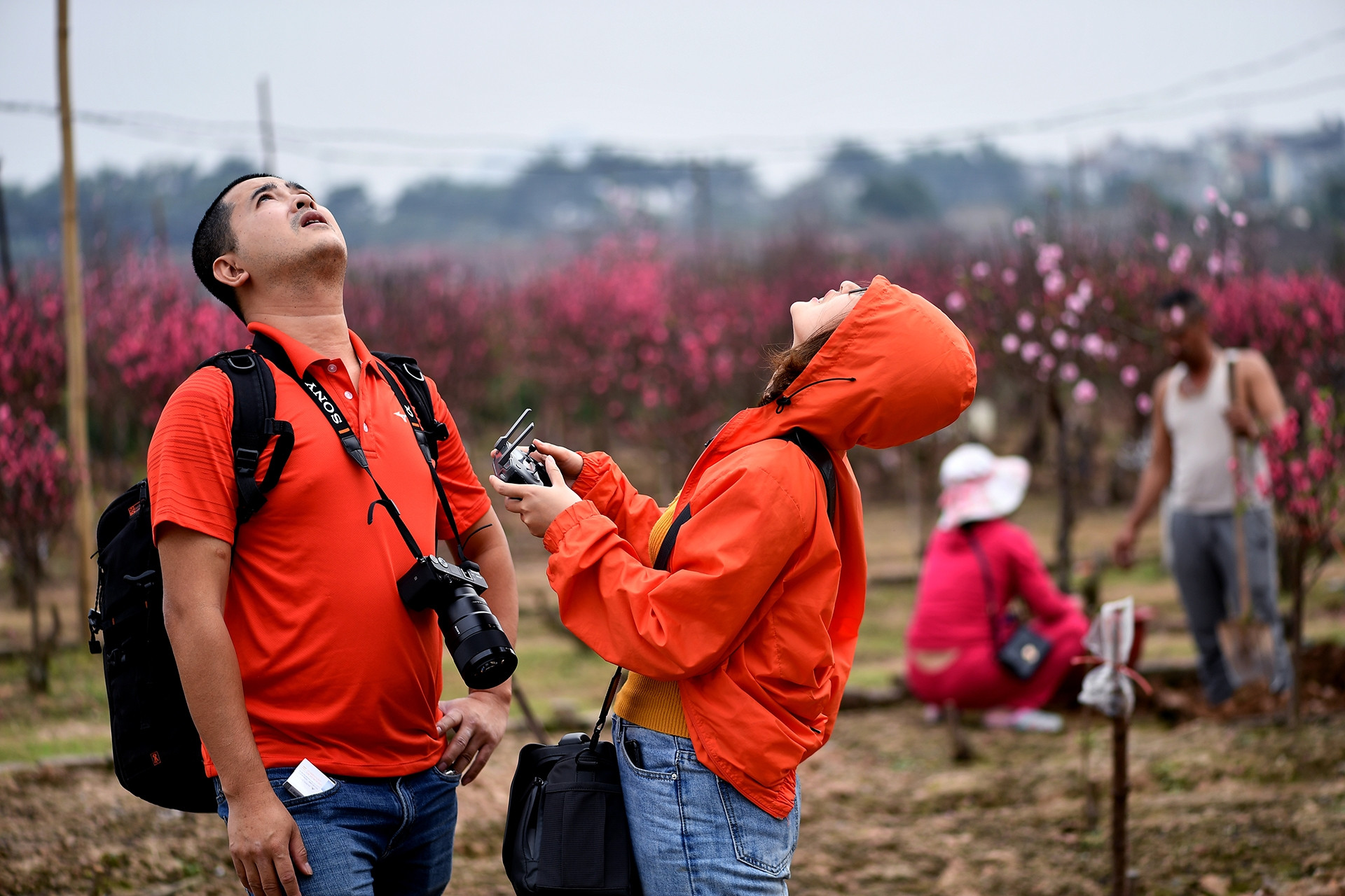 Đề xuất lịch nghỉ Tết Nguyên đán 2025 với 9 ngày liên tục