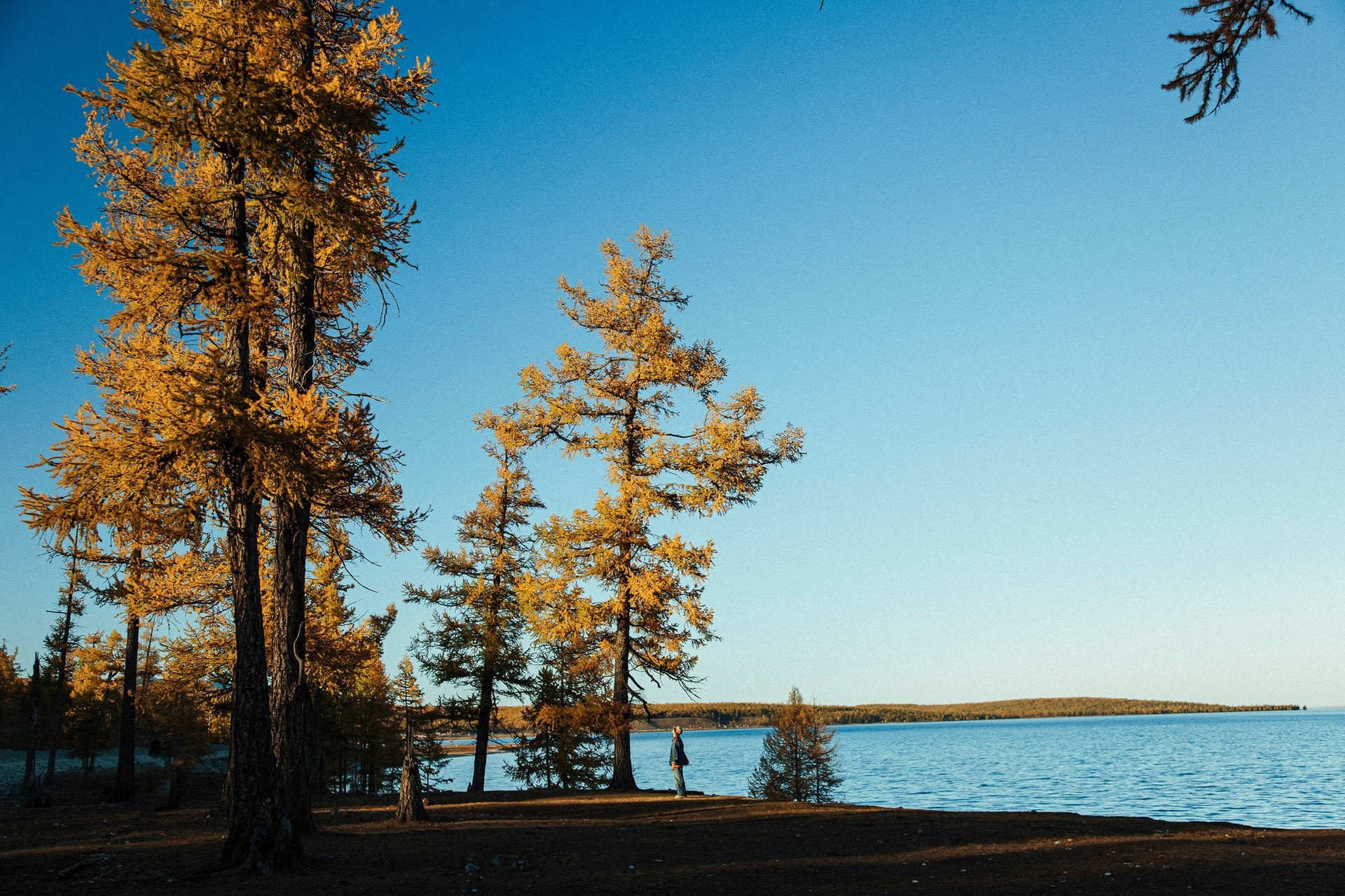 du lịch Mông Cổ.jpg