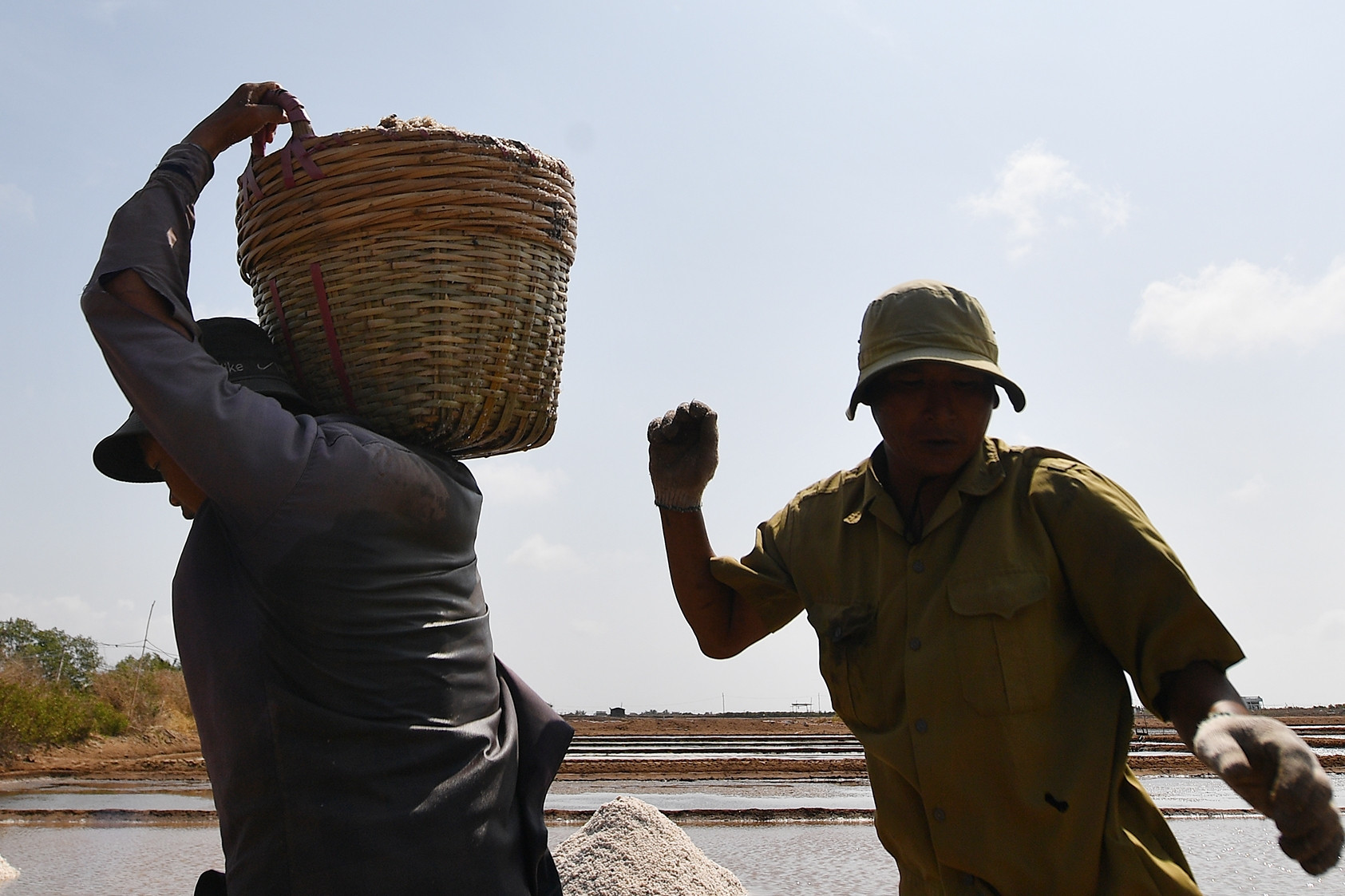 Giá 40-60 USD/tấn carbon, đề xuất phát triển thị trường tín chỉ carbon bắt buộc