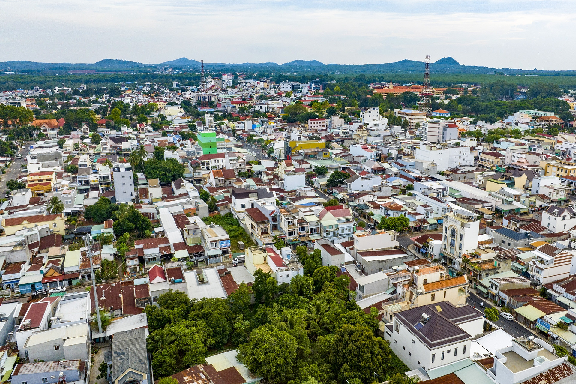 Trồng điều tạo tín chỉ carbon, 1ha có thể thu 400 USD từ bán tín chỉ