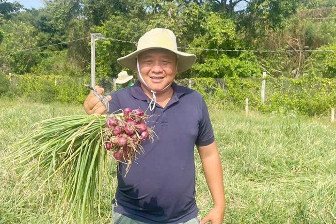 Bỏ lương nghìn USD, giám đốc năn nỉ vợ về quê đưa hành tím, củ cải vào siêu thị