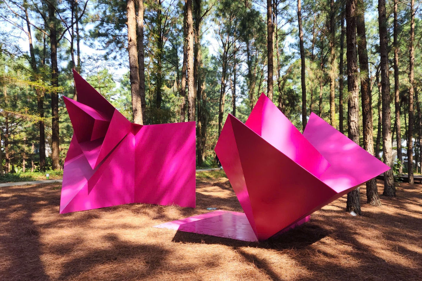 Không gian nghệ thuật trong rừng hiếm hoi tại Việt Nam