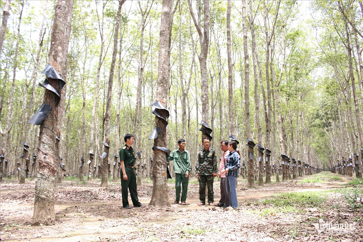 W-Ngọc Chí ảnh 1.jpg