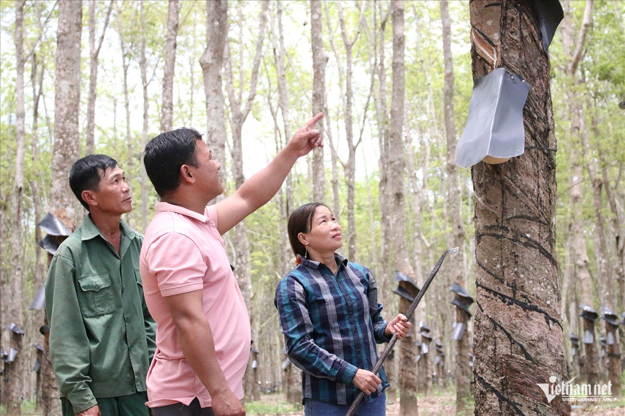 W-Ngọc Chí ảnh 2.jpg