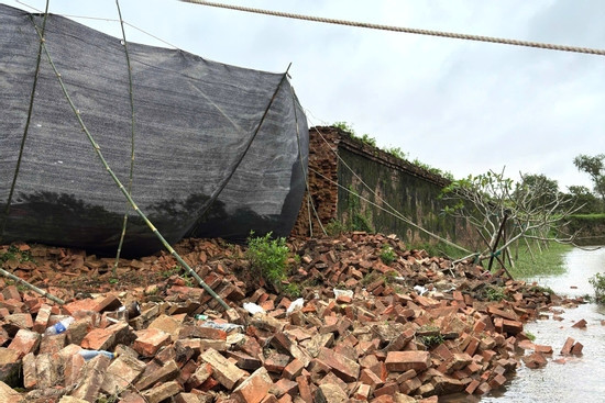 Bản tin chiều 4/11: Sập tường Hoàng thành Huế