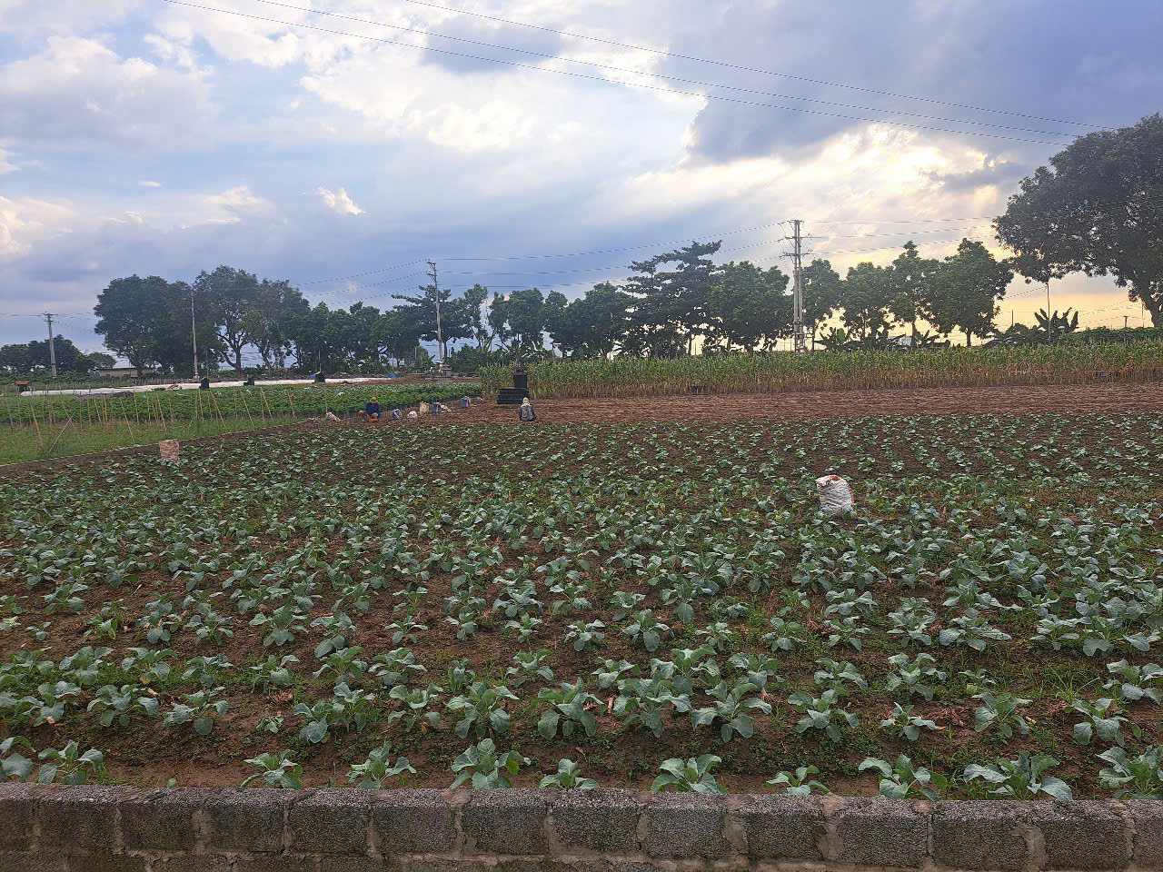 anh dong nai chuan.jpg