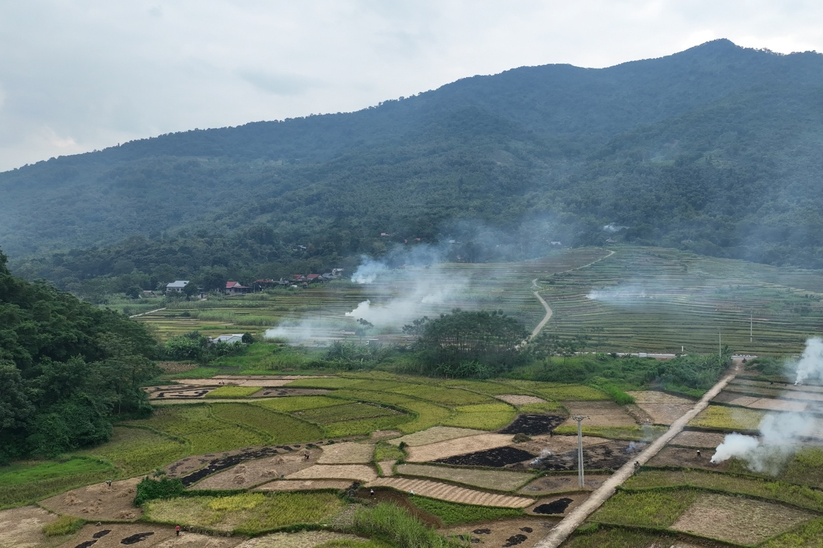 Ban Công tác Mặt trận - cầu nối quan trọng trong xây dựng nông thôn mới