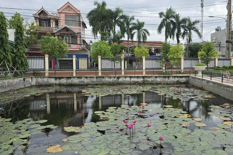 Hải Phòng đẩy mạnh chuyển đổi số, hướng tới nông thôn mới thông minh, hiện đại
