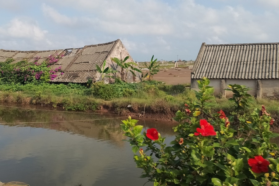 Hòa Minh xây dựng xã nông thôn mới kiểu mẫu với tiêu chí nổi trội về du lịch