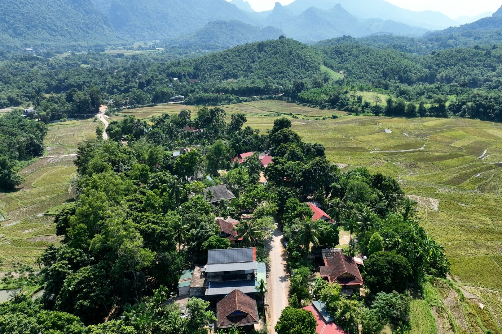 Hội Người cao tuổi Sơn La tập huấn nâng cao năng lực xây dựng nông thôn mới