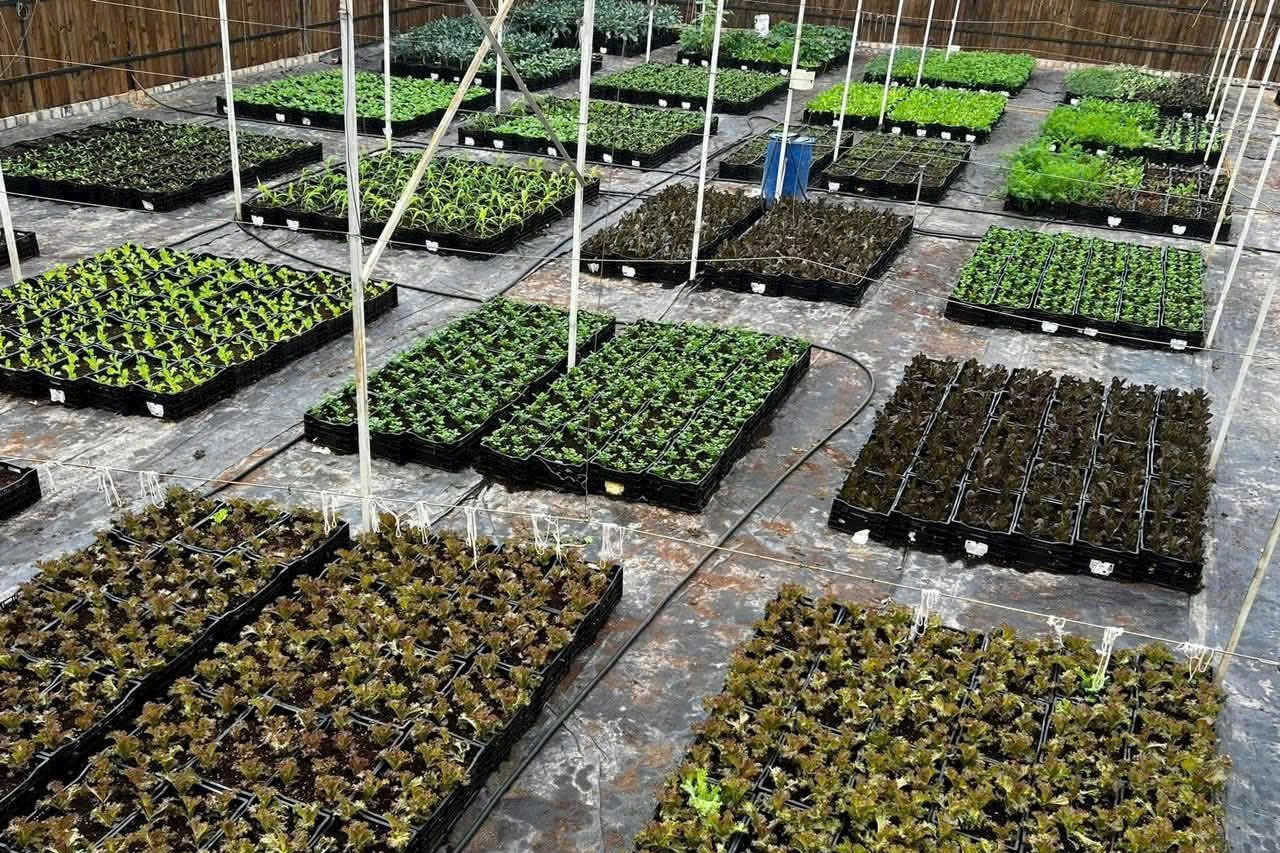 Hội Nông dân Lâm Đồng đồng hành cùng nông dân xây dựng nông thôn mới