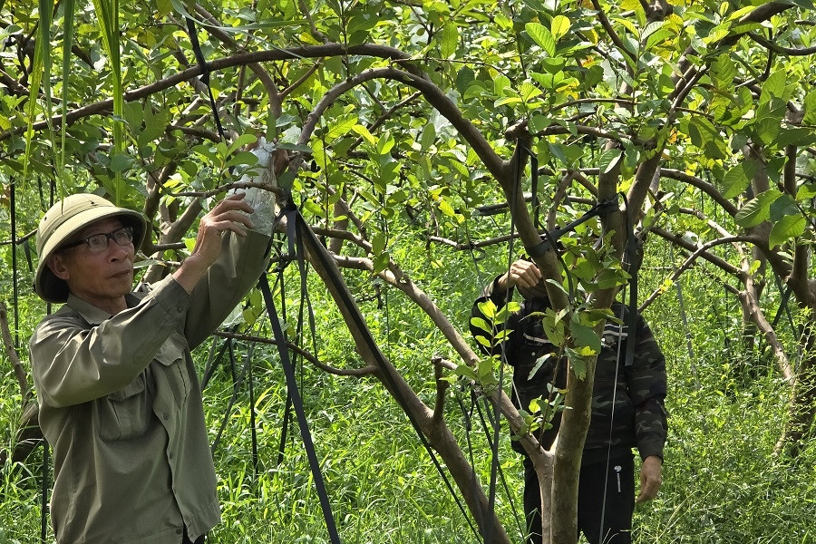 Mỹ Đức Tây phát triển bền vững, phấn đấu đạt chuẩn nông thôn mới nâng cao