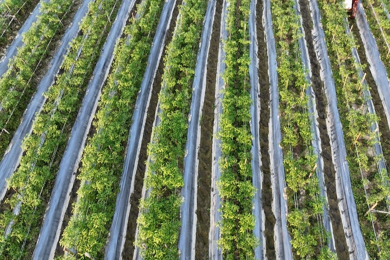 Mỹ Hiệp tăng cường truyền thông xây dựng nông thôn mới hiện đại