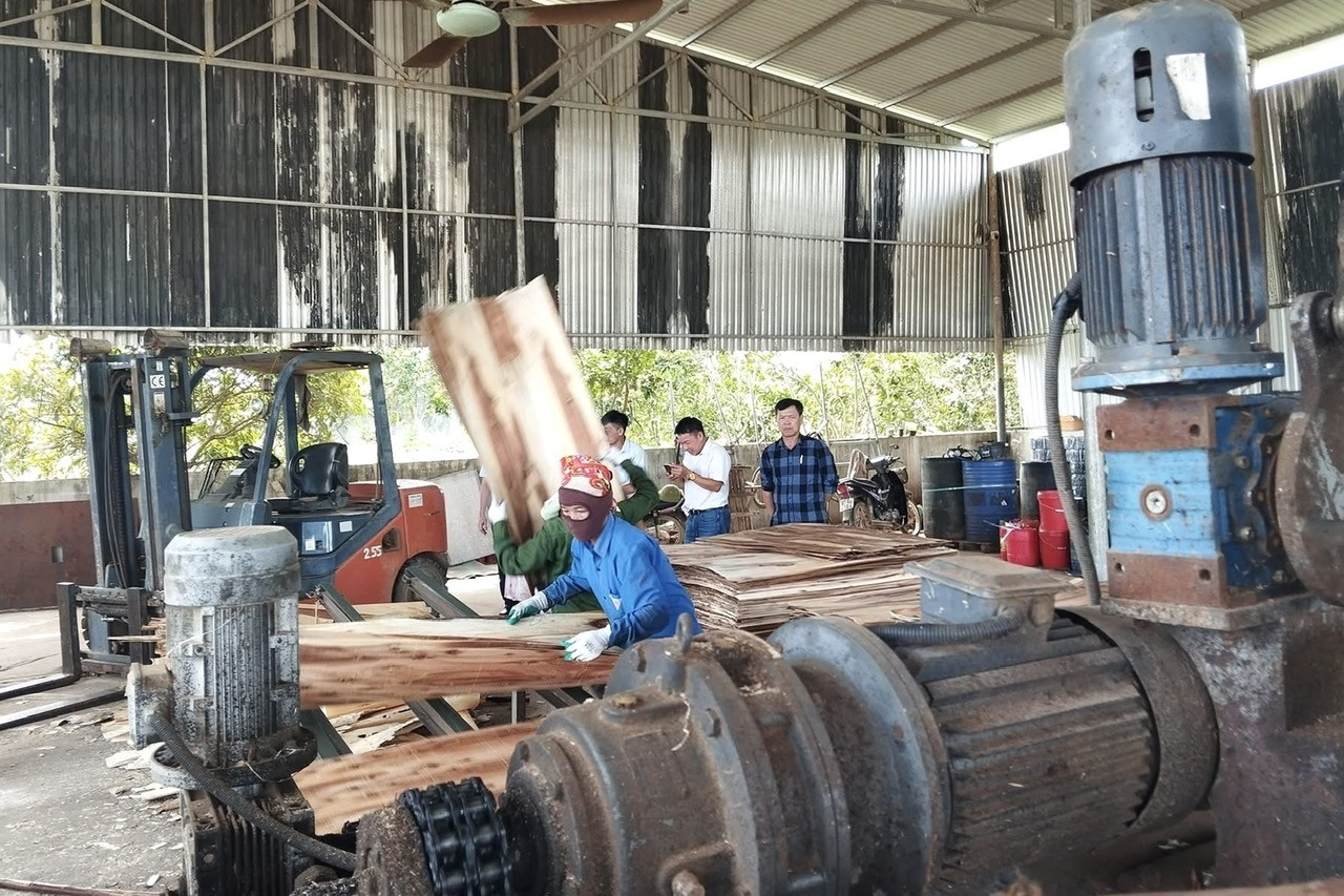 Nâng cao năng lực chuyển đổi số, hướng tới nông thôn mới thông minh