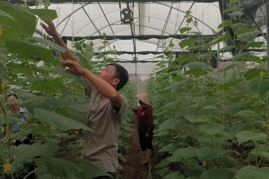 Phú Quới hoàn thiện các tiêu chí, phấn đấu về đích nông thôn mới nâng cao