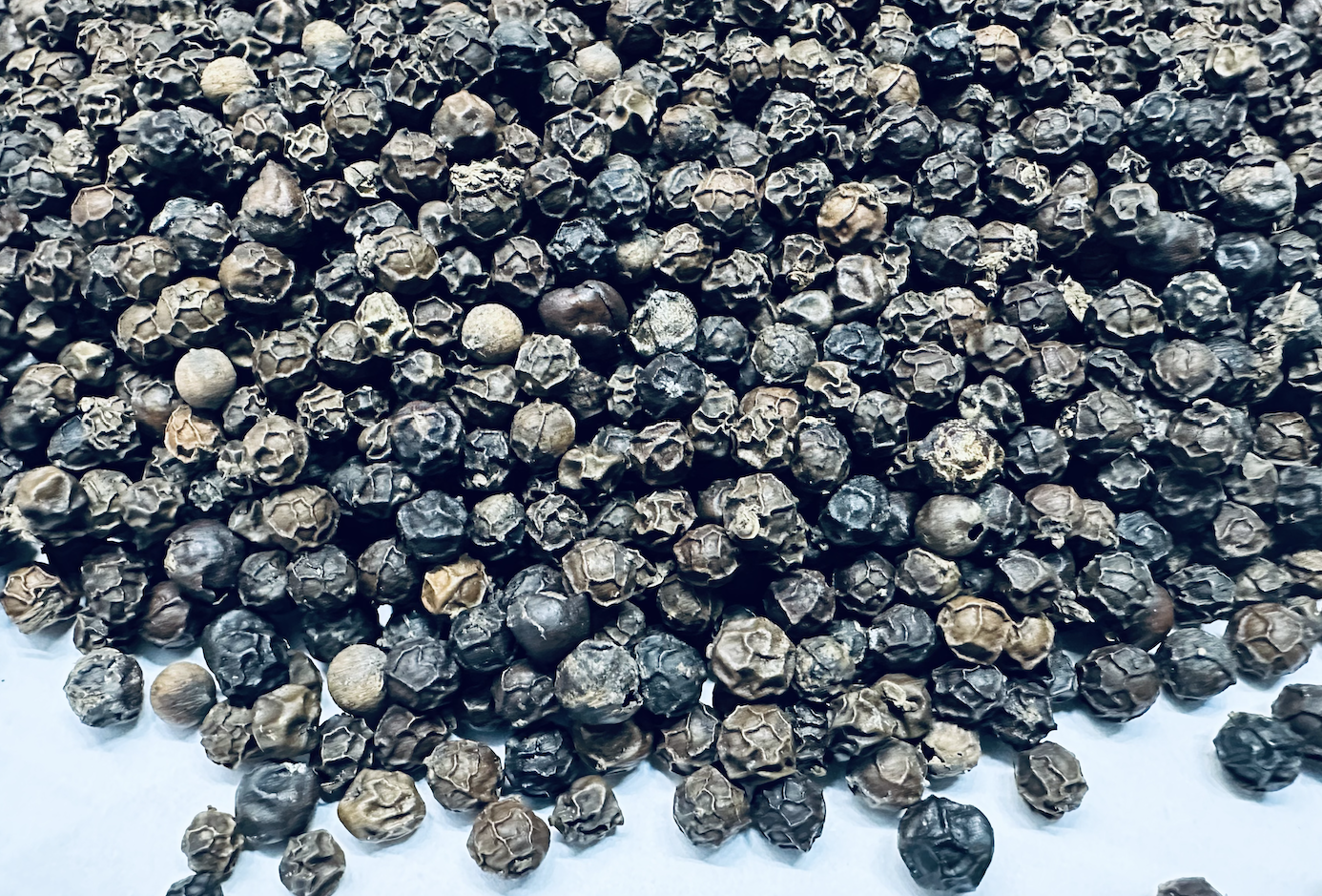 Thu về 1,4 tỷ USD, xuất khẩu ‘vàng đen’ sắp phá kỷ lục lịch sử