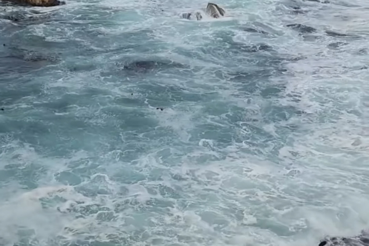 Việt Nam nỗ lực cùng cộng đồng thế giới xây dựng đại dương hòa bình, thịnh vượng