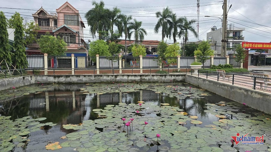 W-4b8f5d14 4fad 451d 8377 e9782edfb40e.jpg