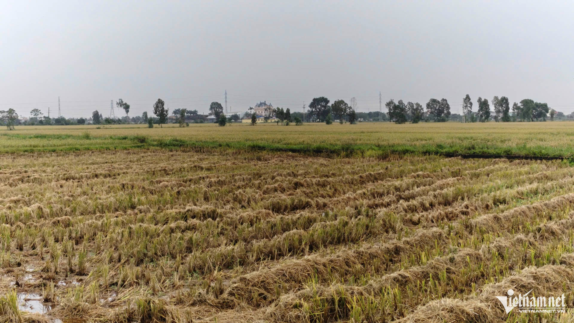 W-bất động sản bắc ninh_3.JPG.jpg