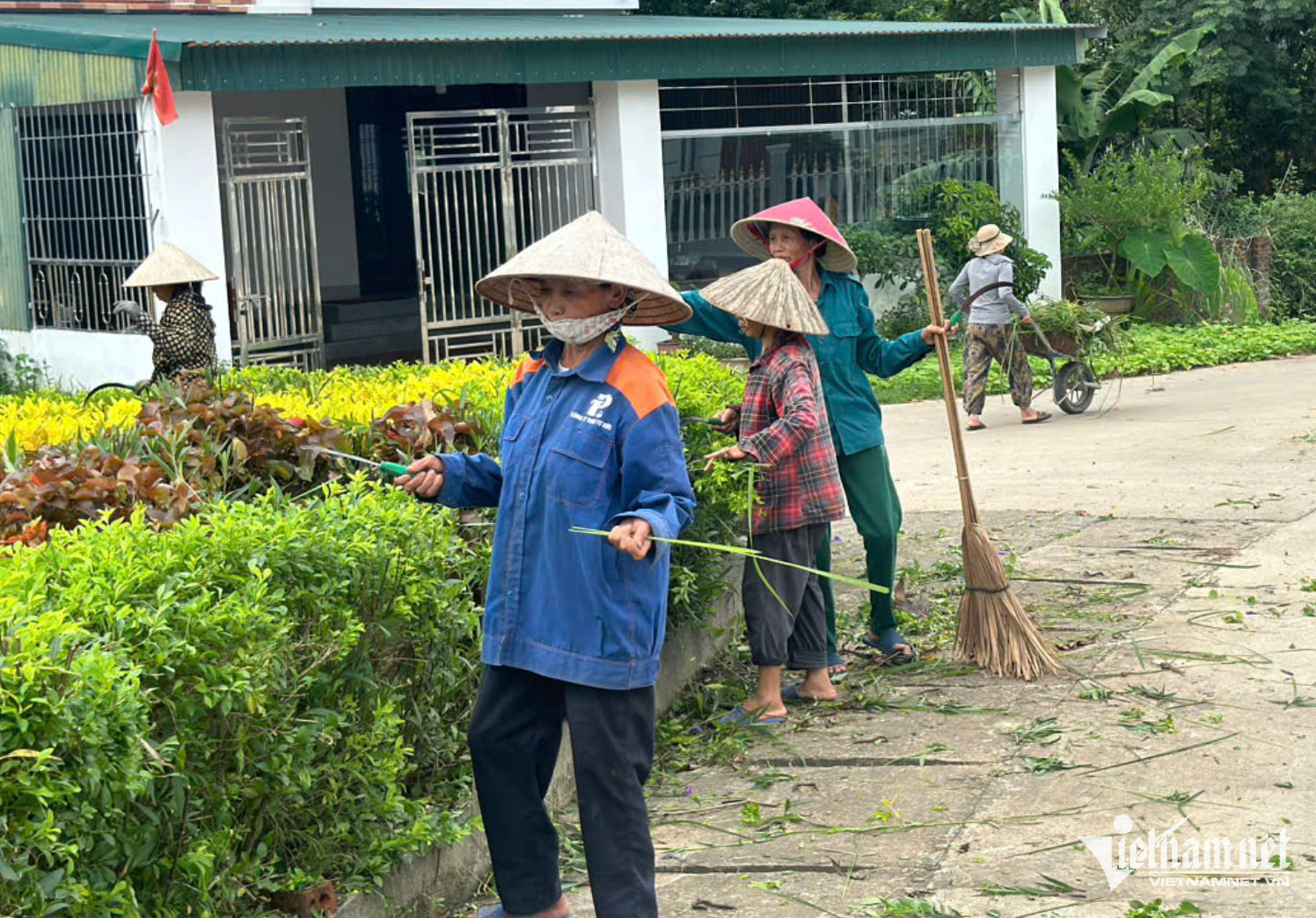 W-chi tiên phú tho.png