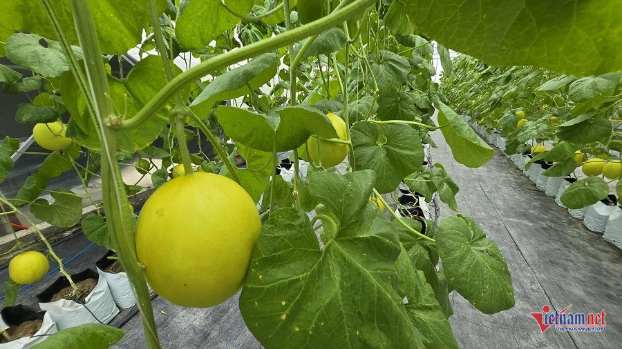 W-d7a4c06b c35f 4914 b9a5 c999c954ce25.jpg