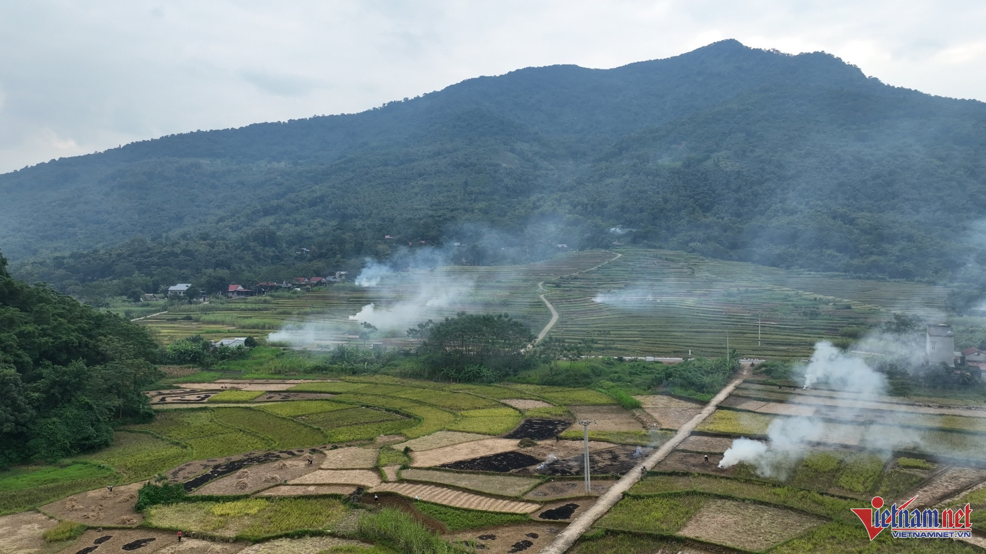 W-THANH HOA68 (1).jpg