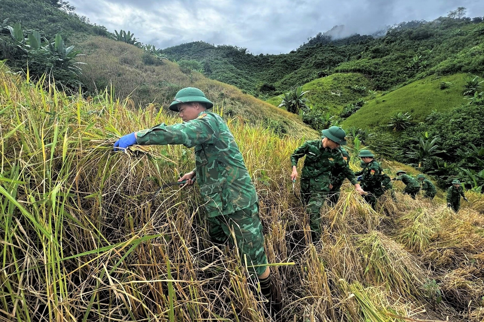 Bộ đội hối hả giúp dân gặt lúa, chằng chống nhà cửa trước bão Kalmaegi