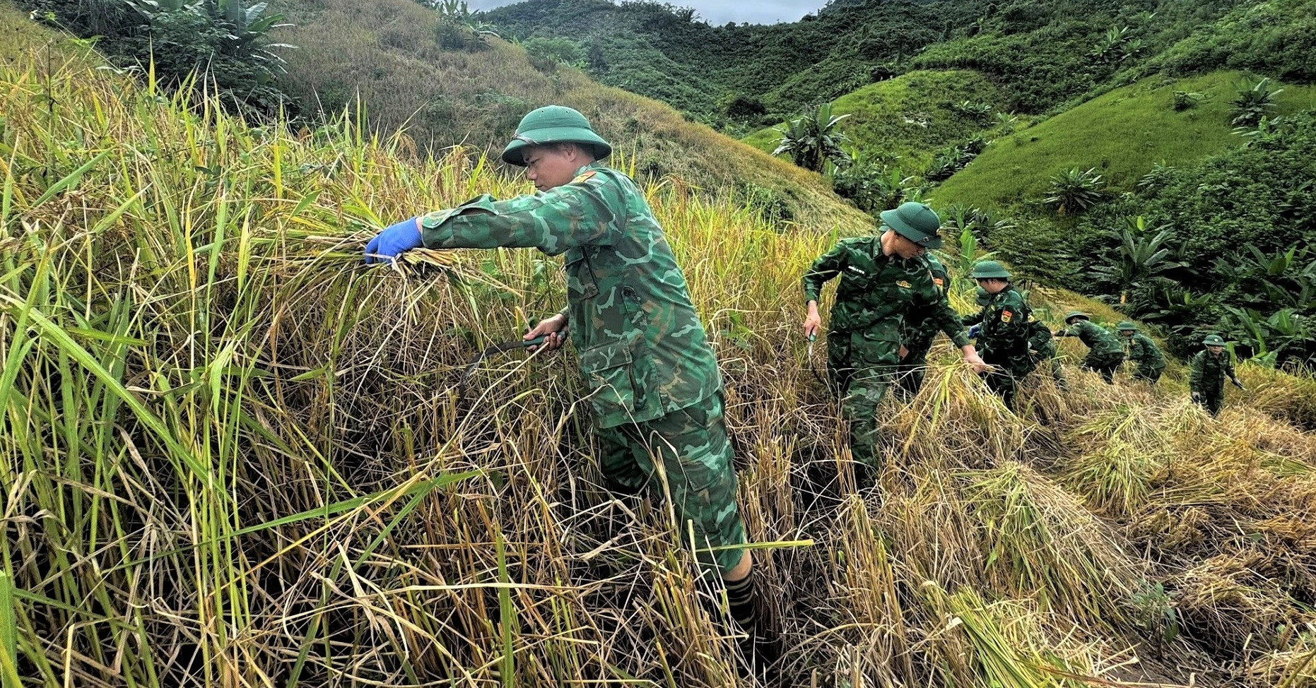 Bộ đội hối hả giúp dân gặt lúa, chằng chống nhà cửa trước bão Kalmaegi