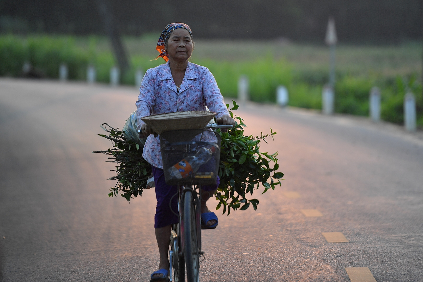 Đẩy mạnh đào tạo nghề góp phần giảm nghèo bền vững ở Long Phú