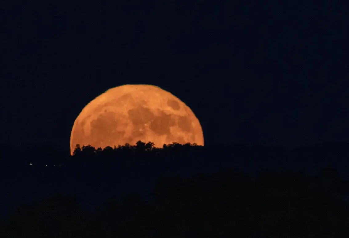 Sieu trang Viet Nam 2.png