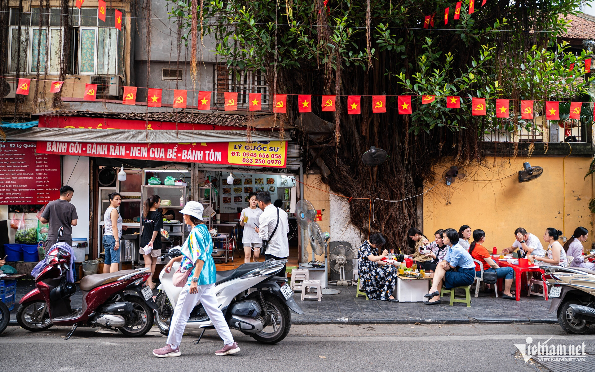 W-bánh gối gốc đa.jpg