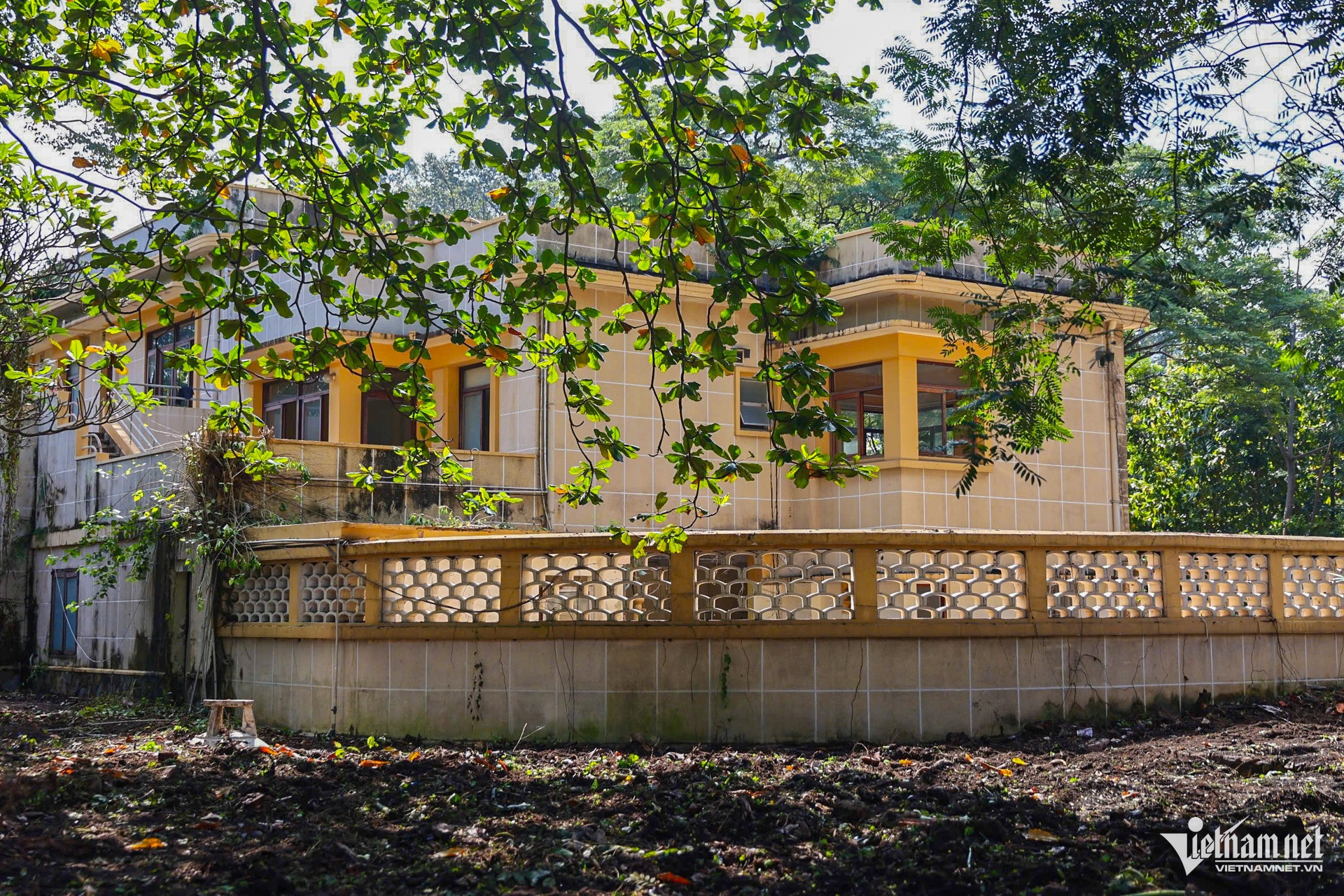 W-đất vàng TPHCM 12.jpg