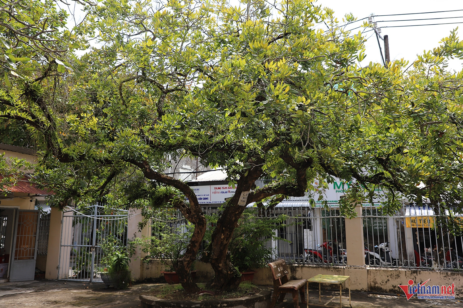 W-nhà cổ 5.JPG.jpg