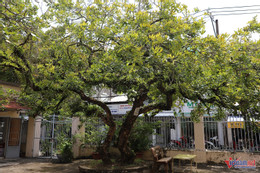 W-nhà cổ 5.JPG.jpg