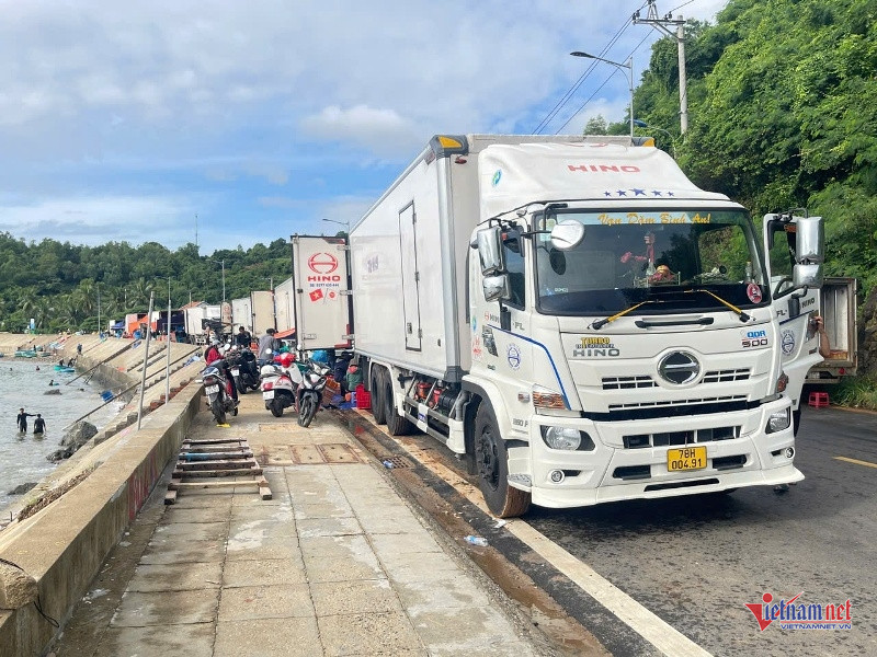 W-Thu hoạch tôm hùm chạy bão 1.jpg