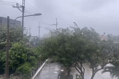 Bão số 13 Kalmaegi: Đặc khu Lý Sơn bắt đầu có mưa lớn, gió giật mạnh