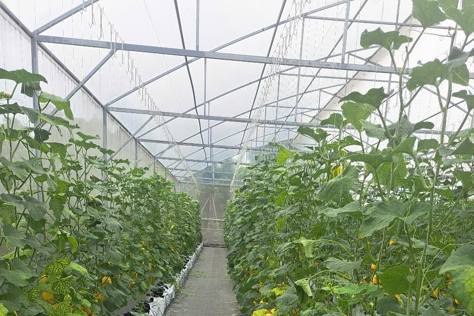 Chuyển đổi số trong xây dựng nông thôn mới ở Lào Cai: Những tín hiệu vui