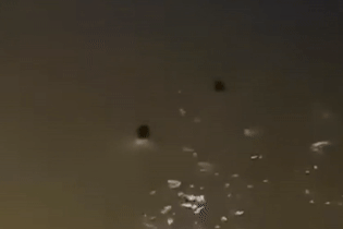 Clip 'người hùng' lao xuống sông cứu người phụ nữ nhảy cầu Tân Lý trong đêm