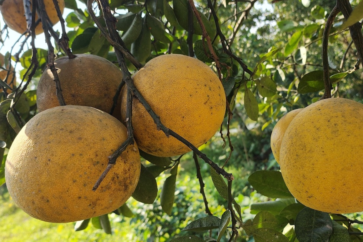 Hà Nội triển khai chương trình  ‘Gian hàng số - nâng tầm thương nhân Thủ đô’