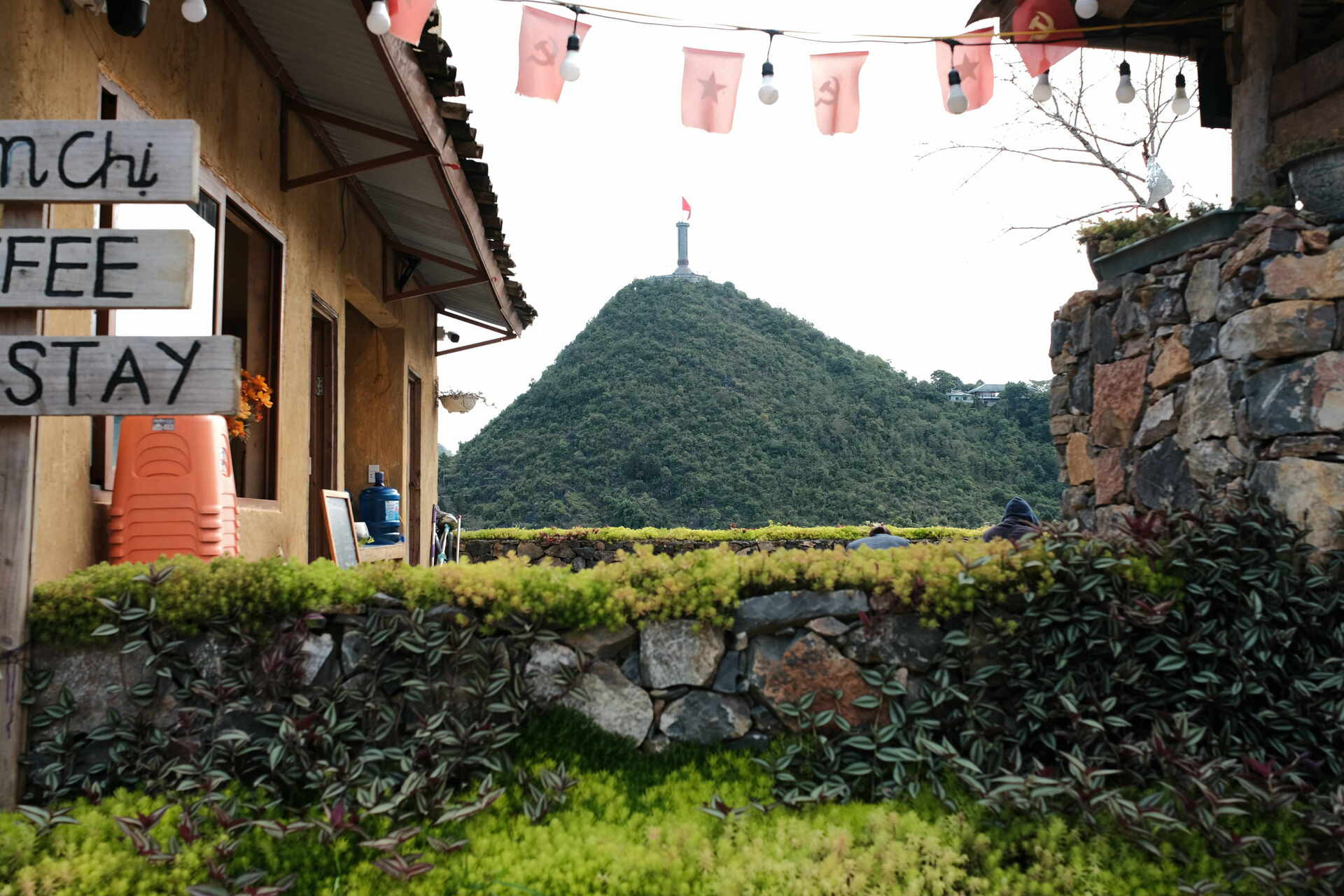 hoa đào lô lô chải