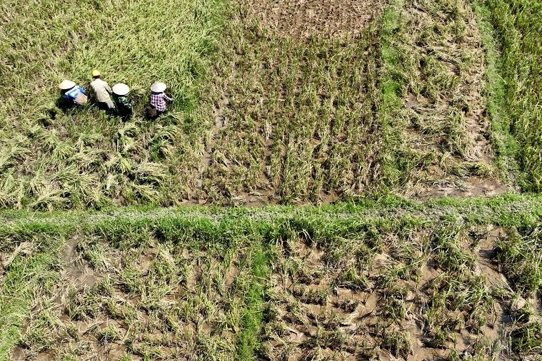 Kiểm tra, giám sát nông thôn mới tại Thượng Hồng và Vĩnh Thịnh (Hải Phòng)