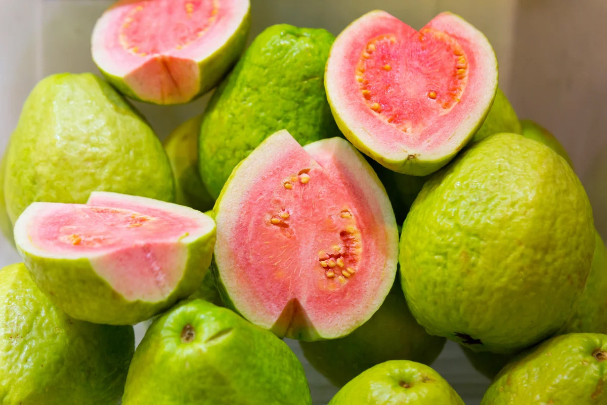PINK GUAVA