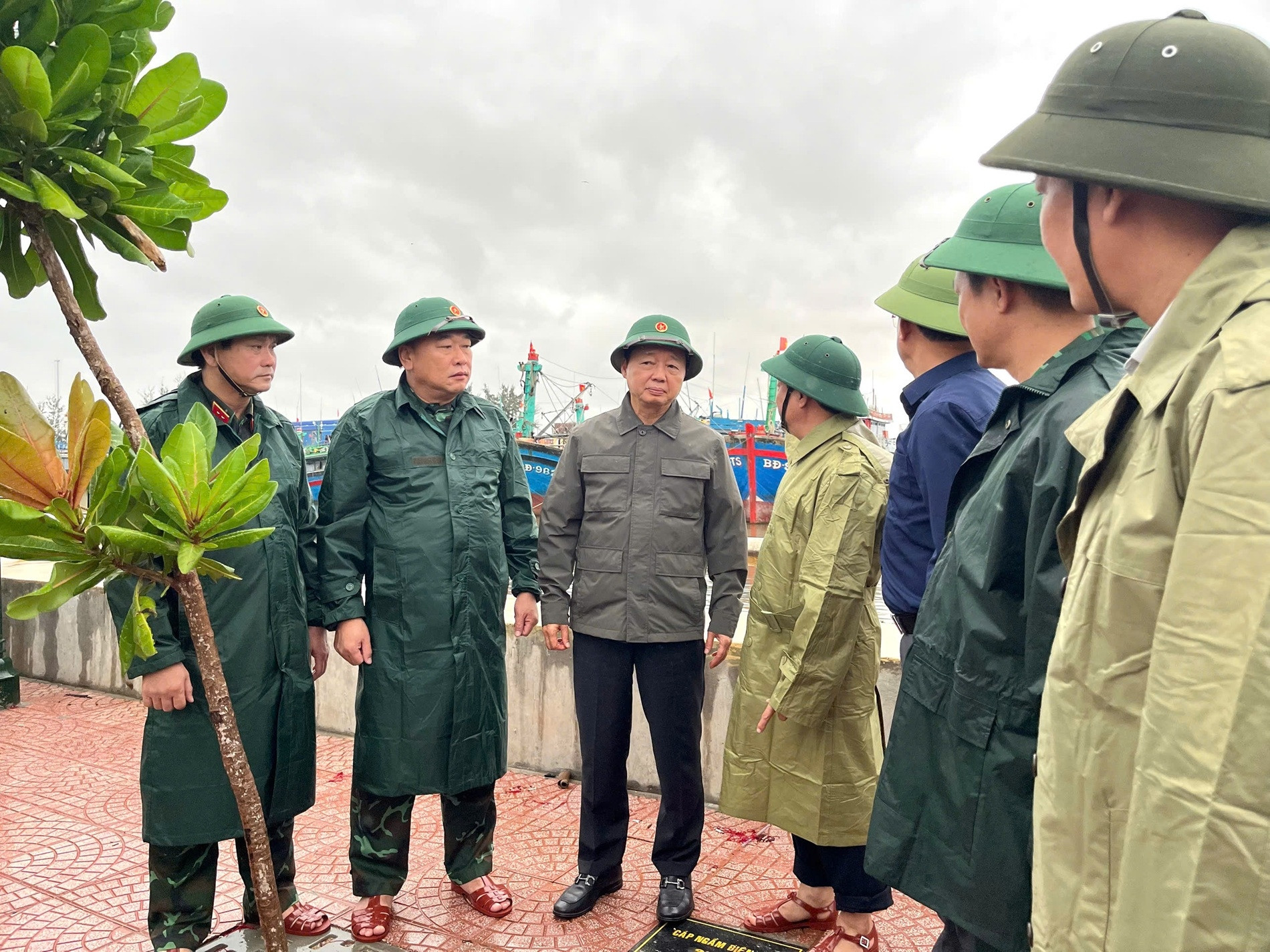 Phó Thủ tướng Trần Hồng Hà cùng lãnh đạo tỉnh Gia Lai trực tiếp đi kiểm tra khu neo đậu tàu thuyền tránh trú bão tại phường Quy Nhơn sáng 611. Ảnh P.Anh.jpg