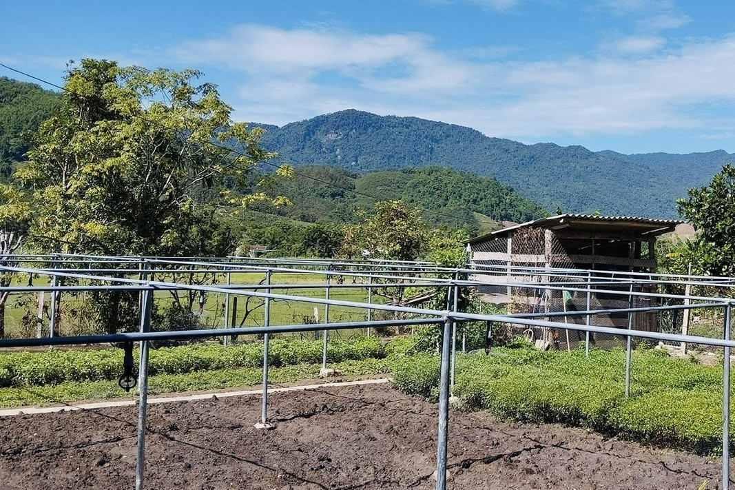 Phú Thọ: Liên kết vùng tạo đột phá trong xây dựng nông thôn mới nâng cao