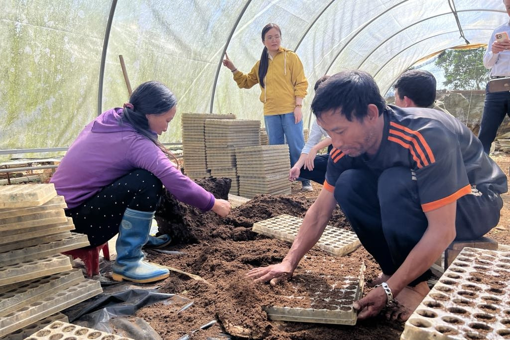 Sơn La: Nhiều giải pháp hỗ trợ doanh nghiệp phục hồi nhanh, phát triển bền vững