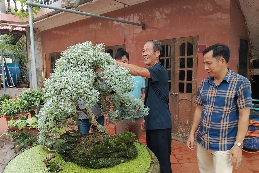 Trung Ngãi chú trọng bảo đảm chất lượng các tiêu chí nông thôn mới