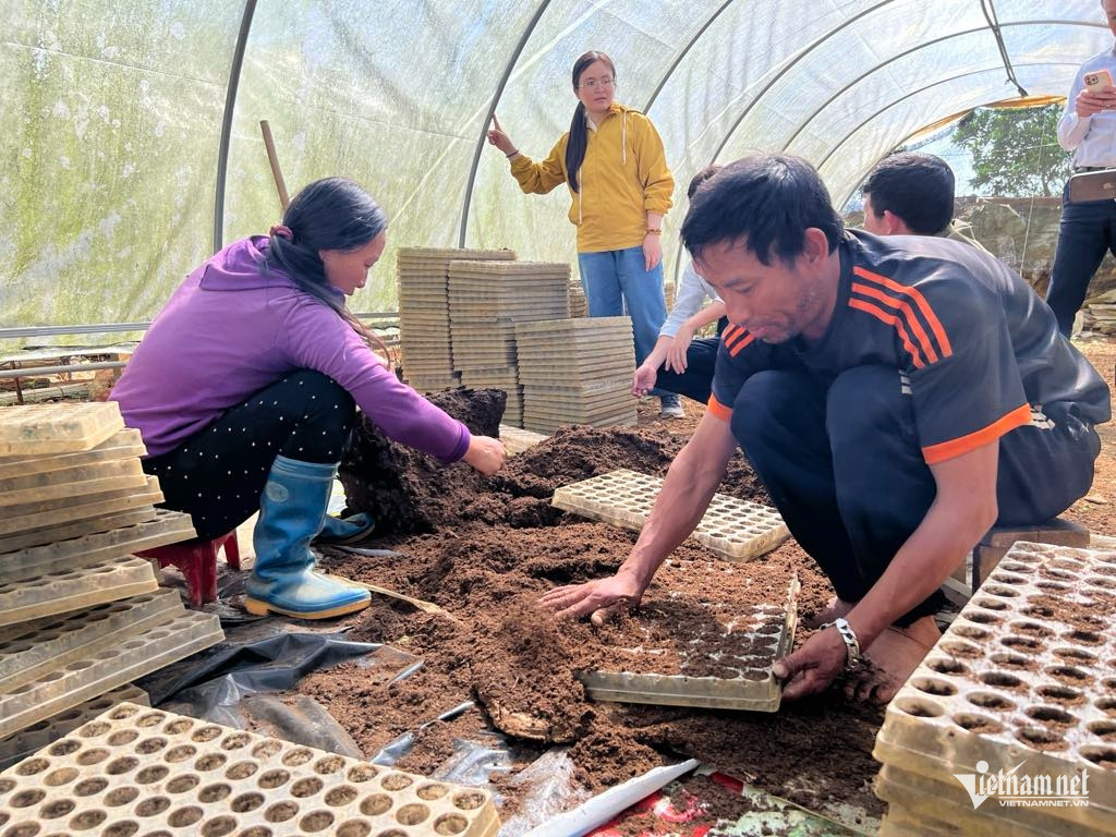 W-Ho tro doanh nghiep.jpg